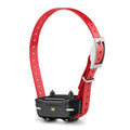 Garmin PT 10 Collar