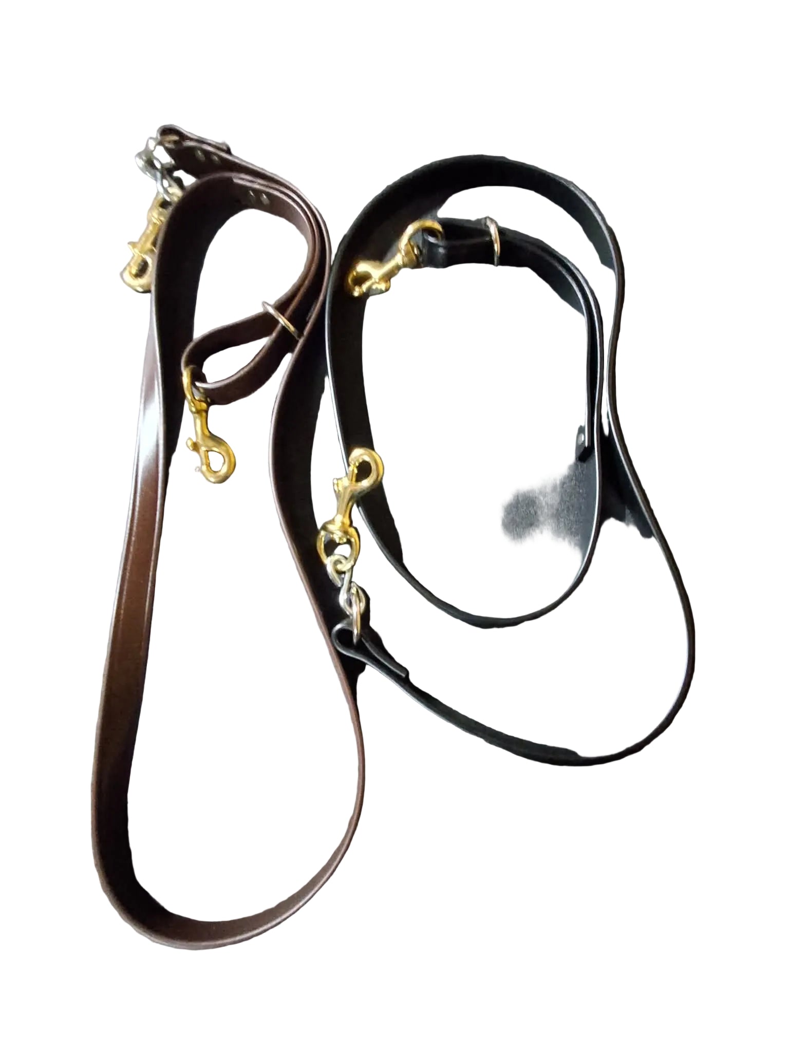 Leash - Harness Beta