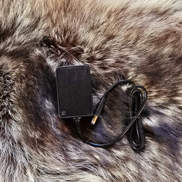 Lights and Light Accessories